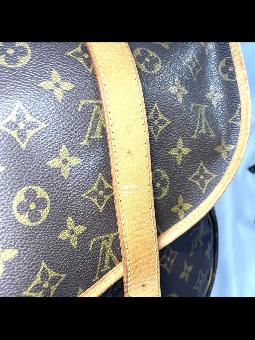 Louis Vuitton authentic louis